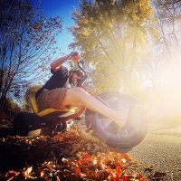 Autumn High Roller